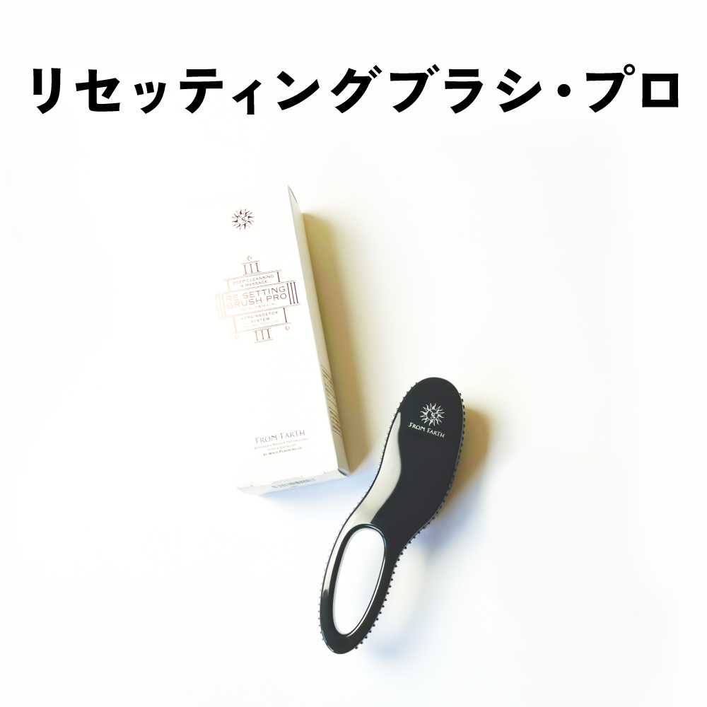 次へ