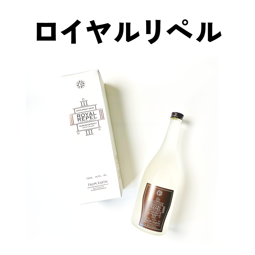 次へ