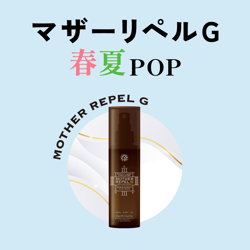次へ