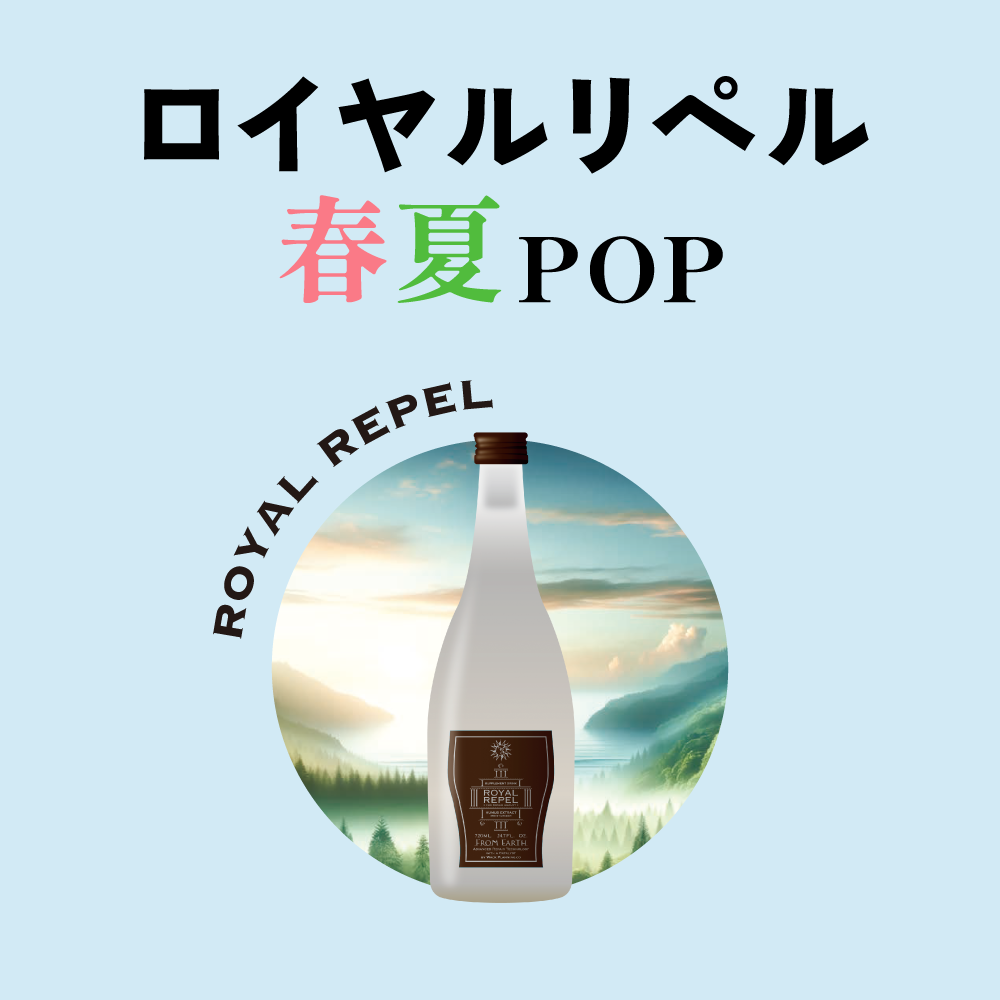 次へ