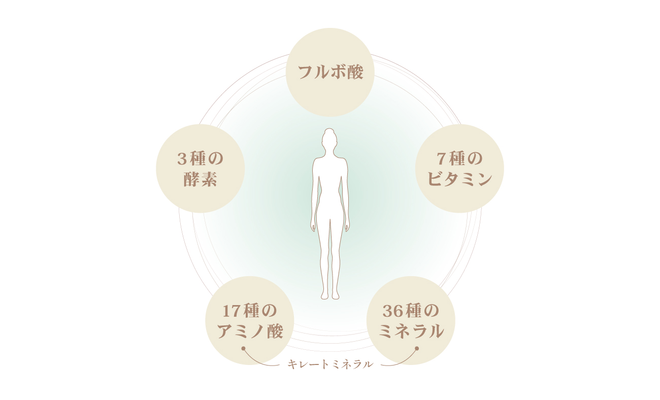  ブラシ説明画像