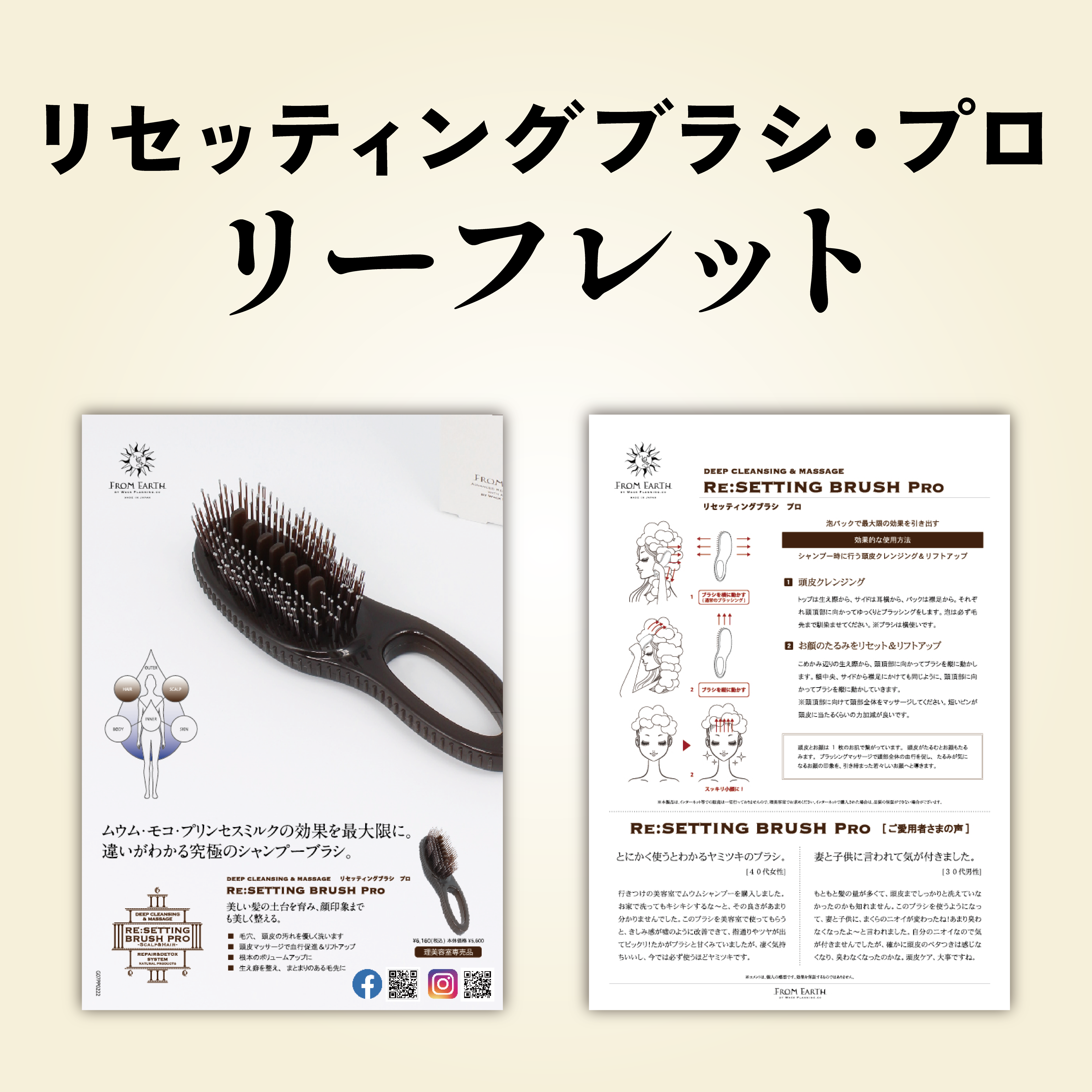 ブラシ リーフレット